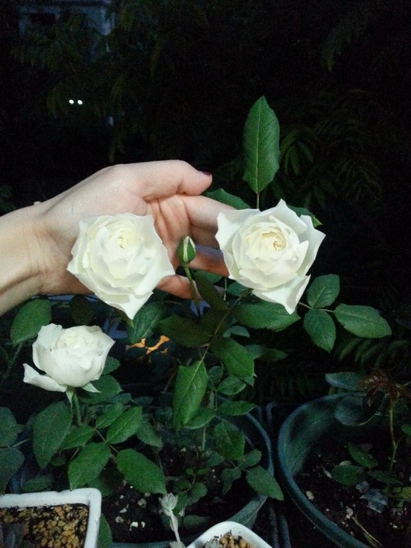 ˮ��-1.jpg