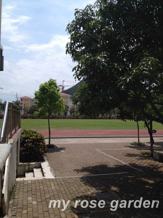 IMG_6900.JPG