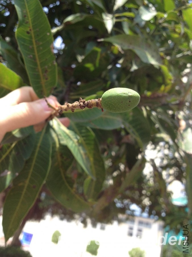 IMG_6904.JPG