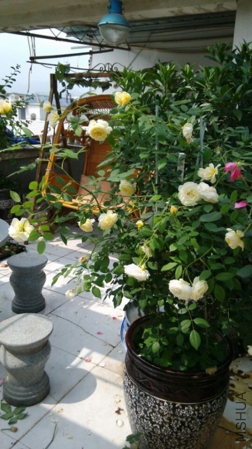 QQͼƬ20140514140008.jpg