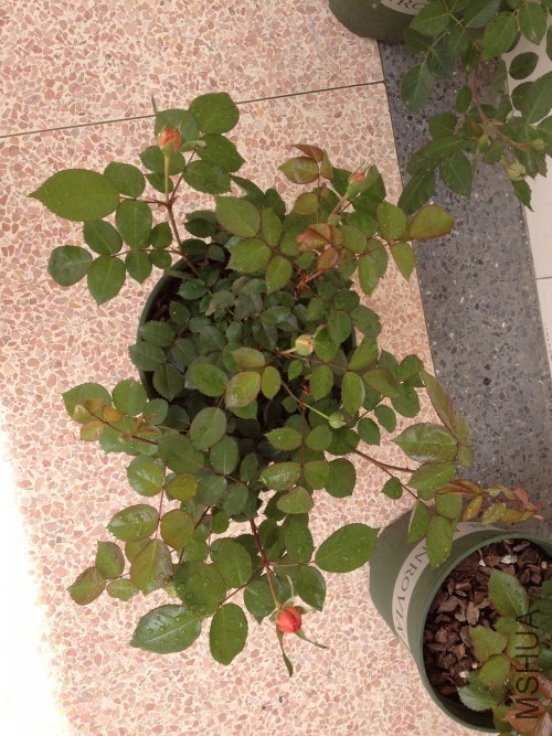 3��ʱ�����ӣ��Ѿ��ܴ���