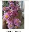 QQͼƬ20140514155309.jpg