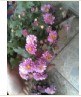 QQͼƬ20140514155312.jpg