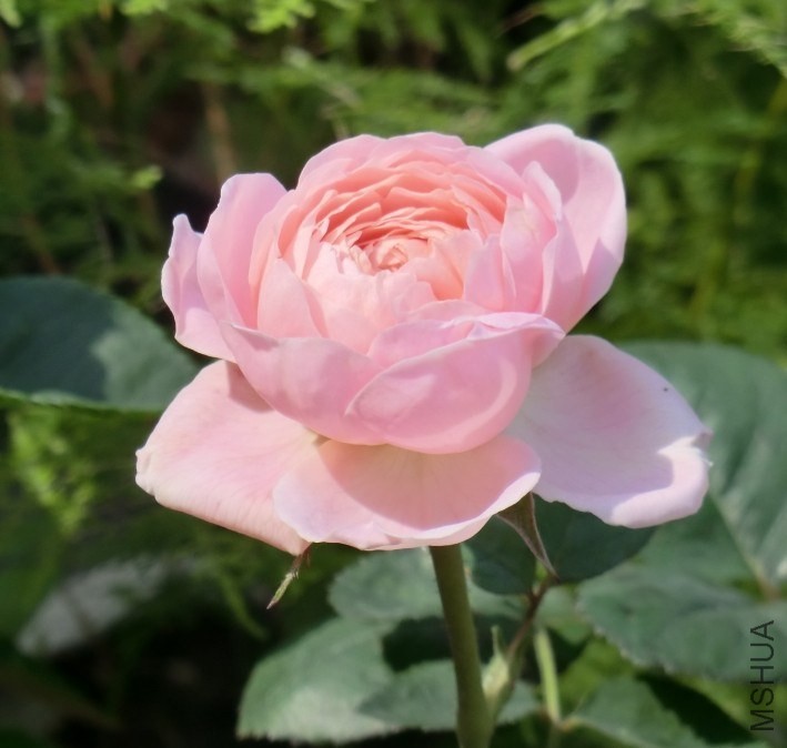 QQͼƬ20140505142822.jpg