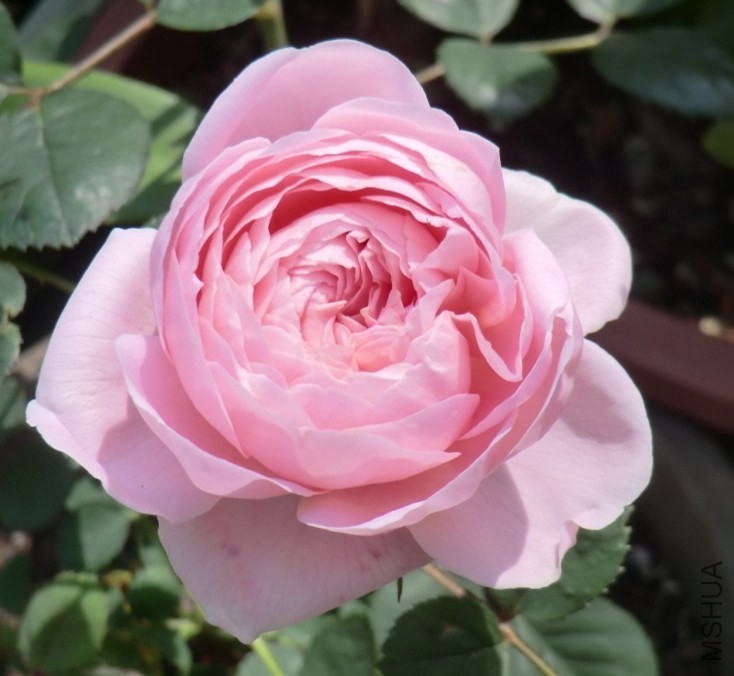 QQͼƬ20140505145052.jpg