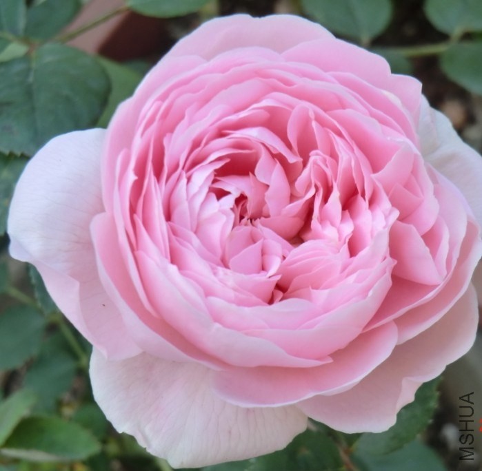 QQͼƬ20140508192543.jpg