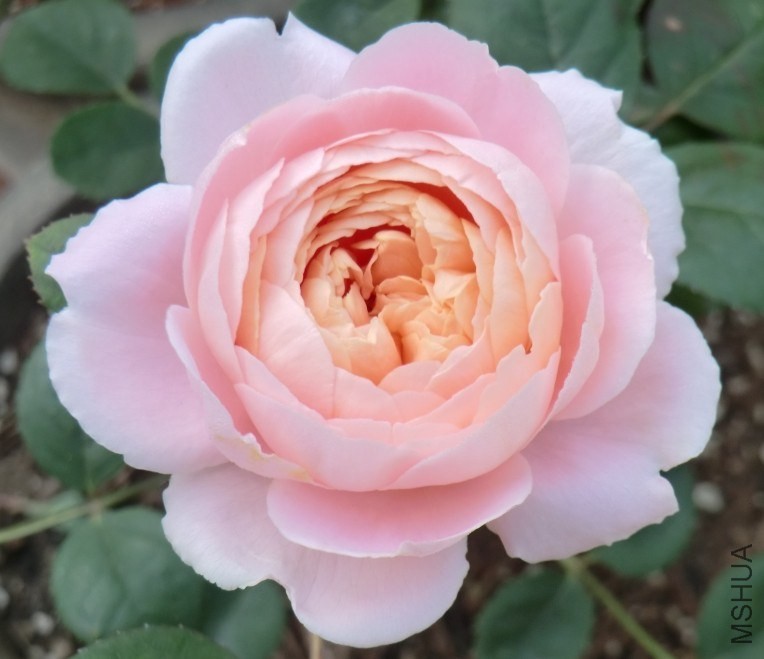 QQͼƬ20140508194403.jpg