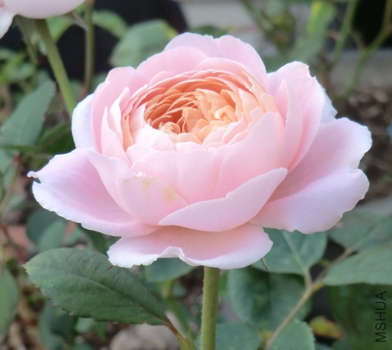 QQͼƬ20140508194422.jpg
