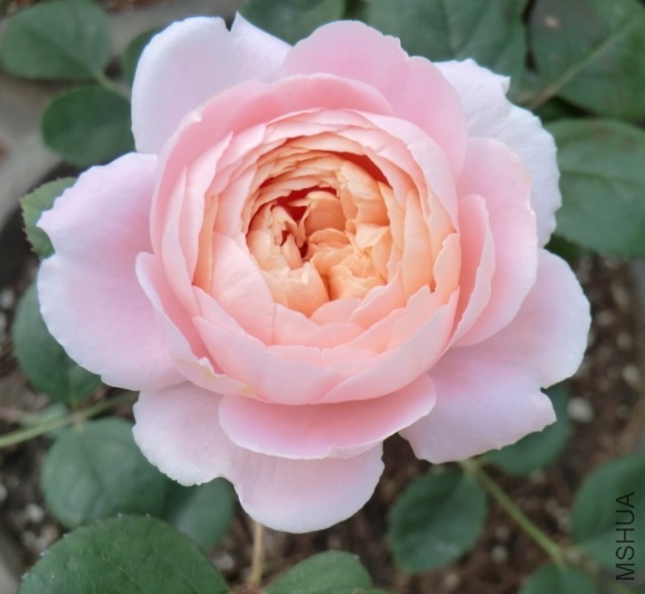 QQͼƬ20140510111558.jpg