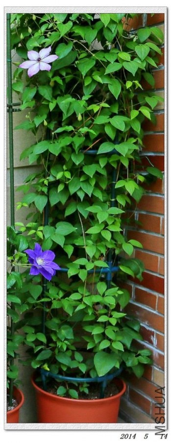 2014051410.jpg