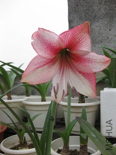 ��Ƭ2014 171.jpg