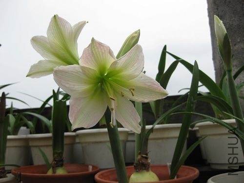 ��Ƭ2014 152.jpg