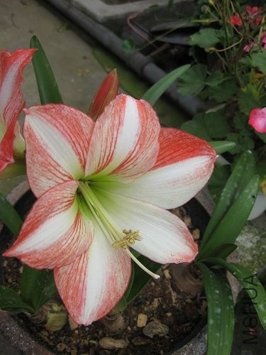 ��Ƭ2014 172.jpg