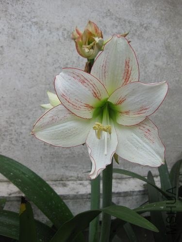 ��Ƭ2014 162.jpg