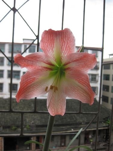 ��Ƭ2014 146.jpg