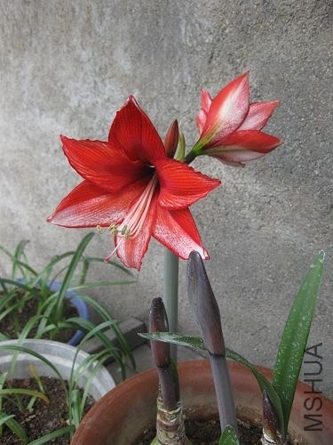 ��Ƭ2014 175.jpg