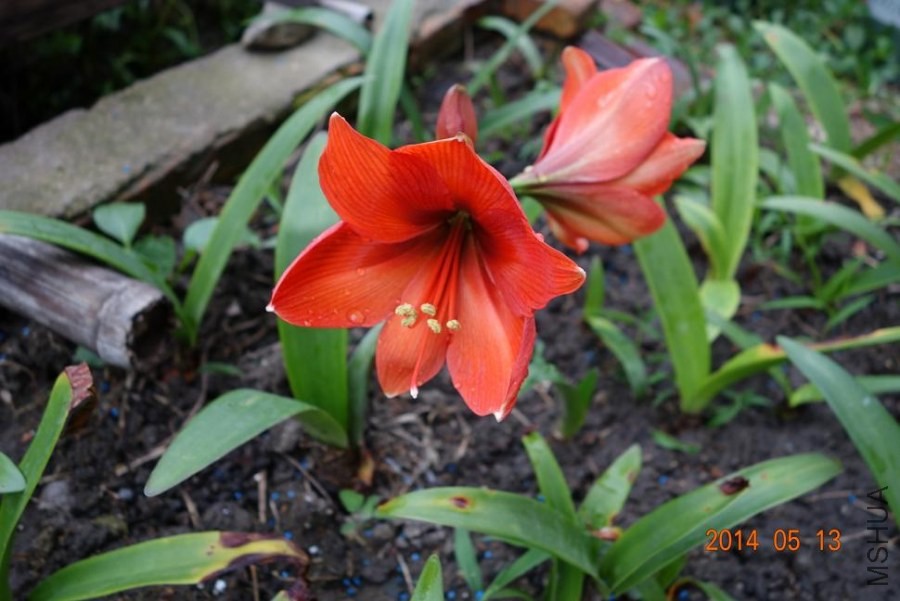 DSC01138.JPG