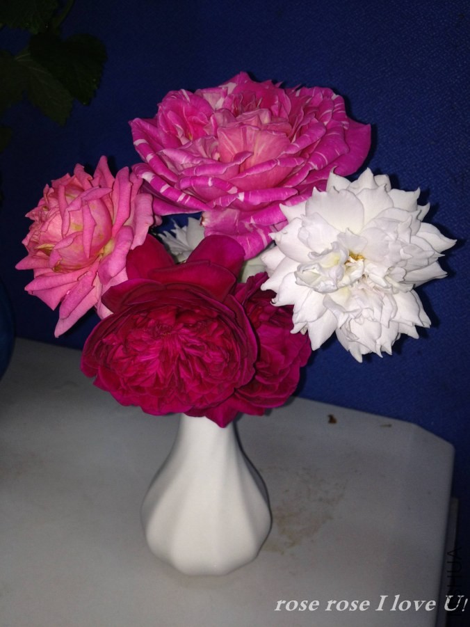 IMG_6961.JPG
