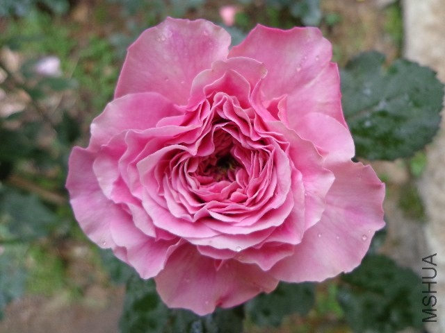 DSC02236.JPG