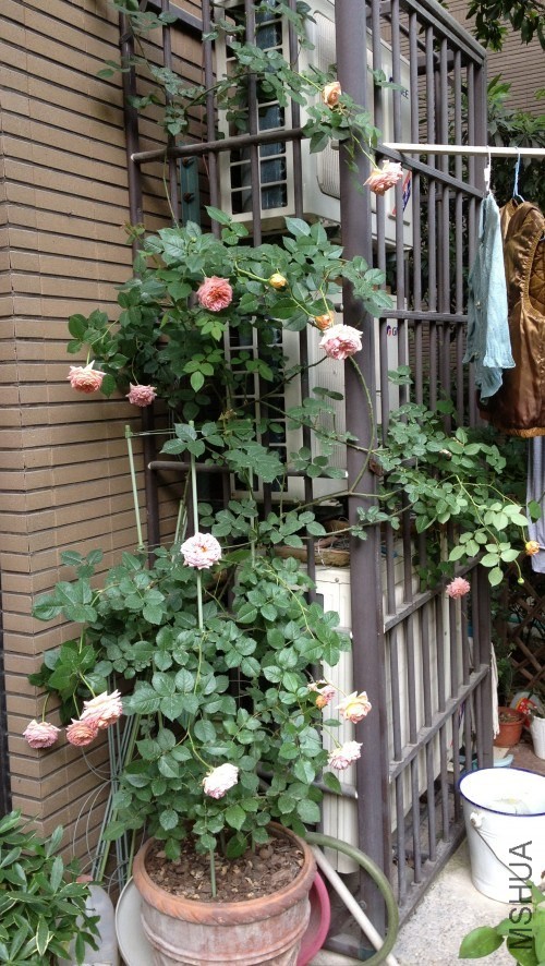 ����û��S�����ƣ�Ҳ������2�׶�ߵĿյ���