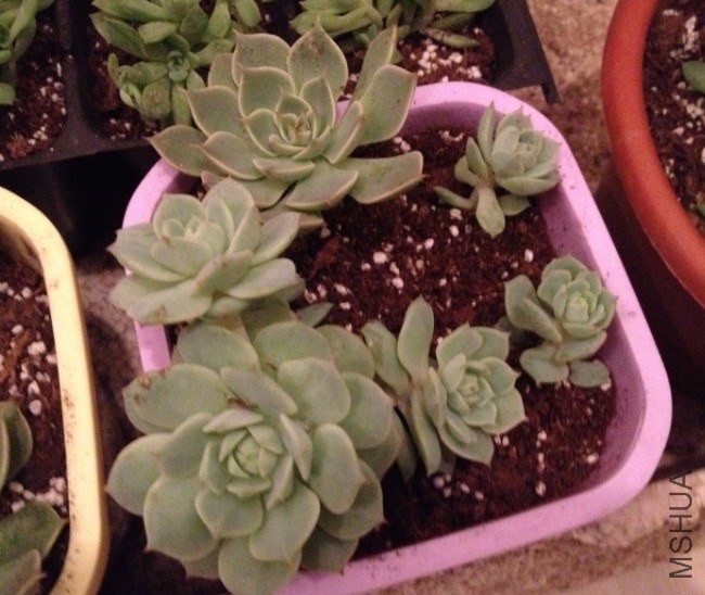 QQͼƬ20140515120645.jpg