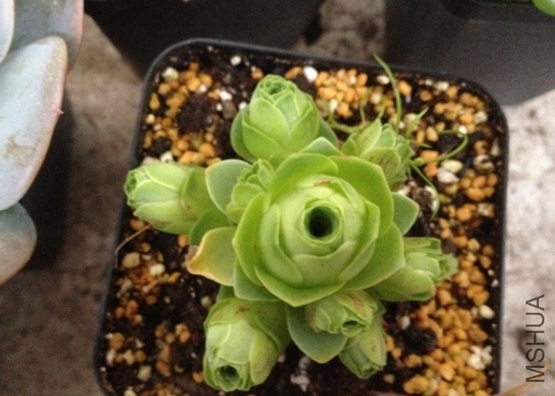 QQͼƬ20140515120602.jpg