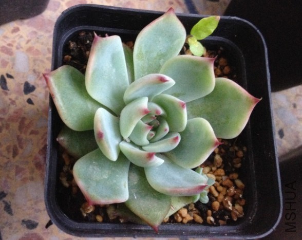 QQͼƬ20140515120558.jpg