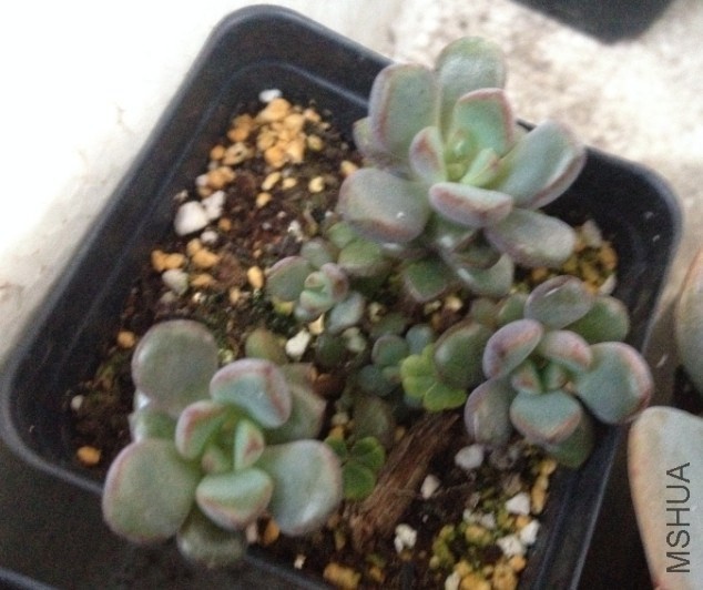 QQͼƬ20140515120554.jpg