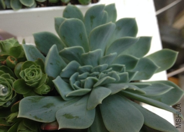 QQͼƬ20140515120546.jpg