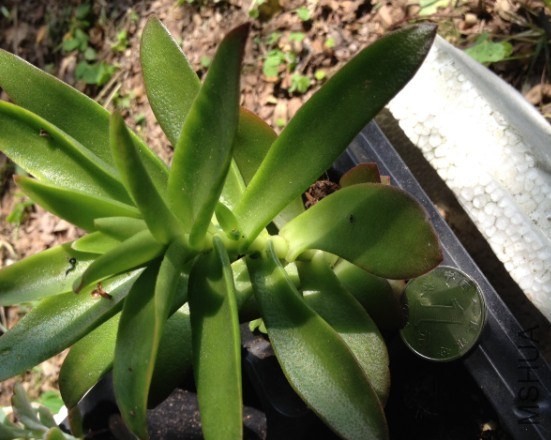 QQͼƬ20140505185251.jpg