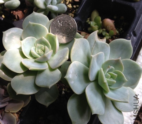 QQͼƬ20140505185248.jpg