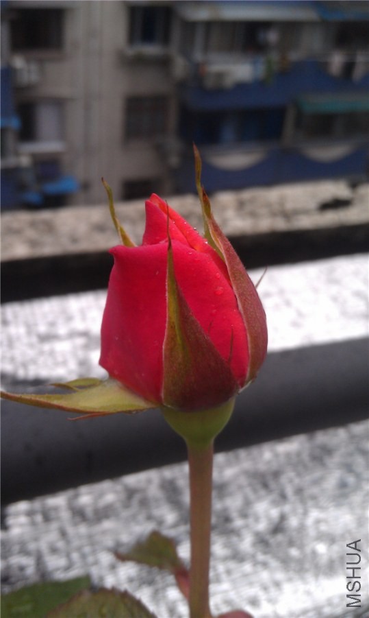 IMAG0235.jpg
