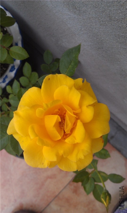 IMAG0174.jpg