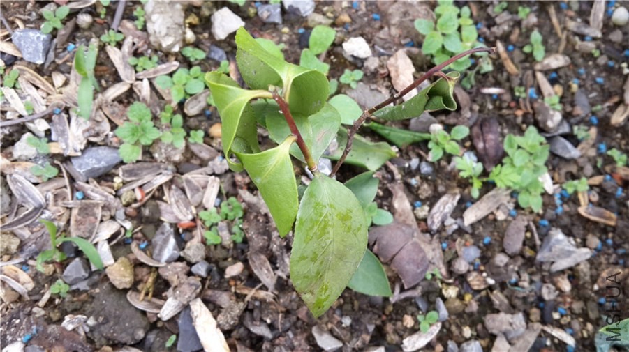 20140513_072518.jpg
