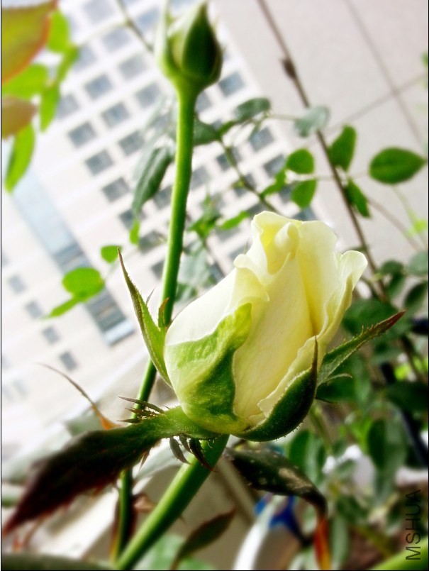 QQͼƬ20140515103025.jpg