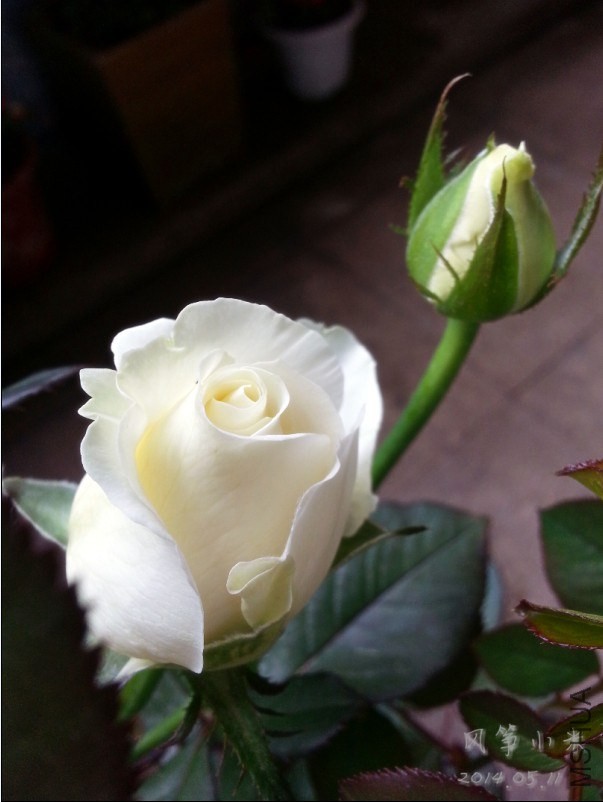 QQͼƬ20140515103106.jpg