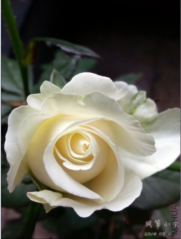 QQͼƬ20140515103128.jpg
