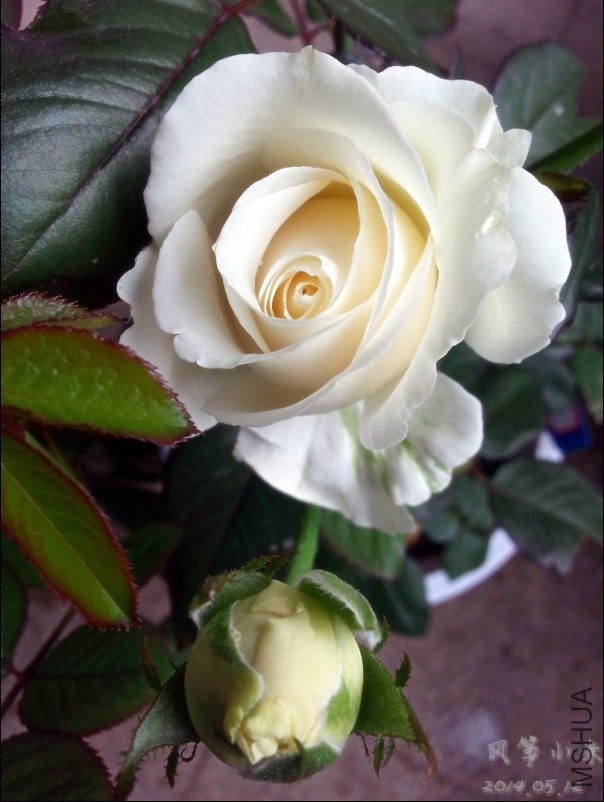 QQͼƬ20140515103228.jpg