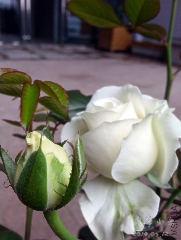 QQͼƬ20140515103330.jpg