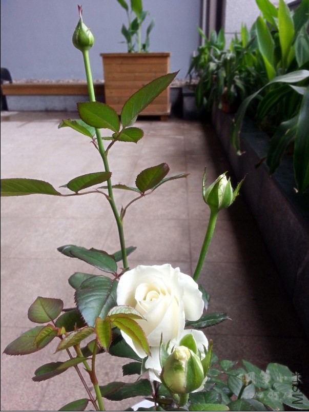 QQͼƬ20140515103253.jpg