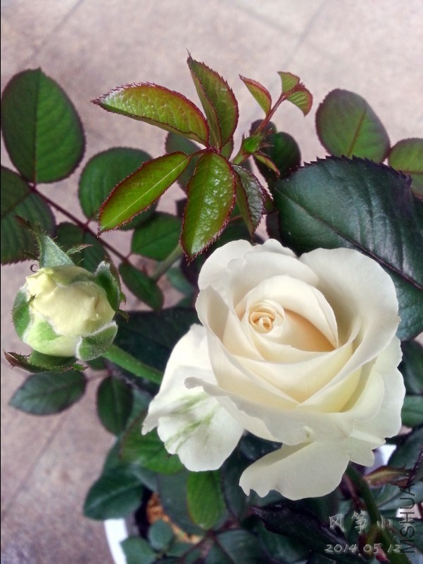 QQͼƬ20140515103351.jpg