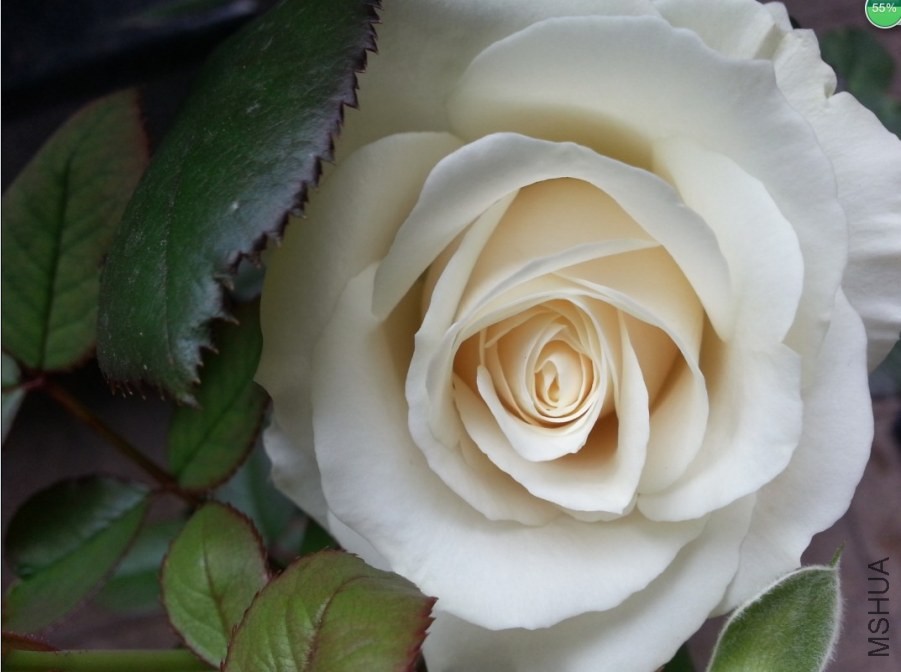 QQͼƬ20140515103427.jpg