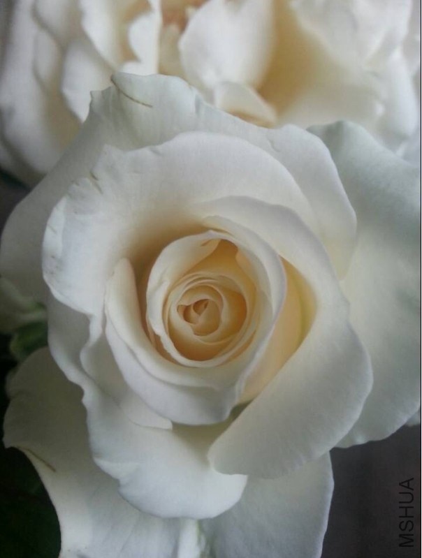 QQͼƬ20140515103518.jpg