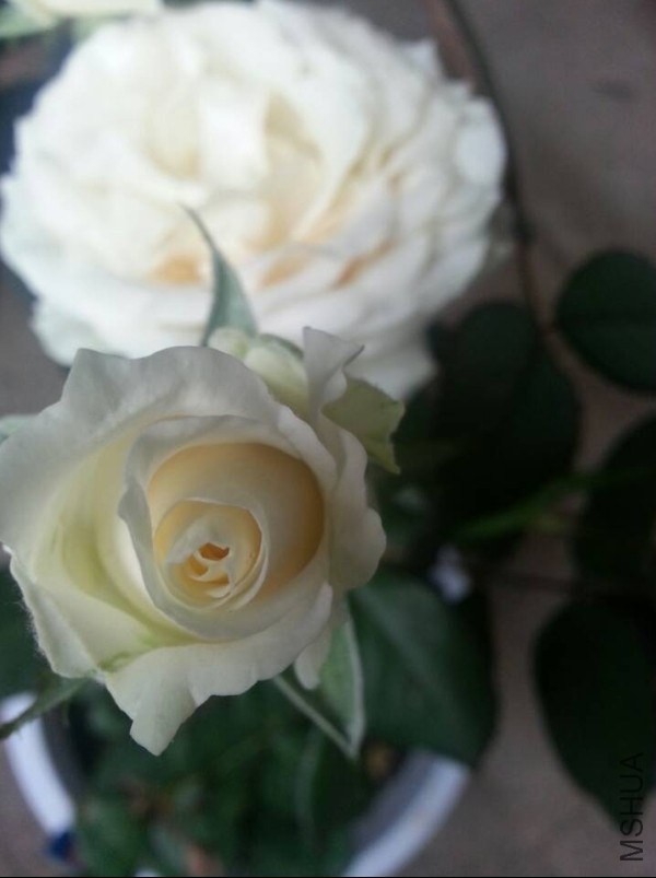 QQͼƬ20140515103536.jpg