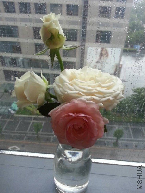 QQͼƬ20140515103617.jpg