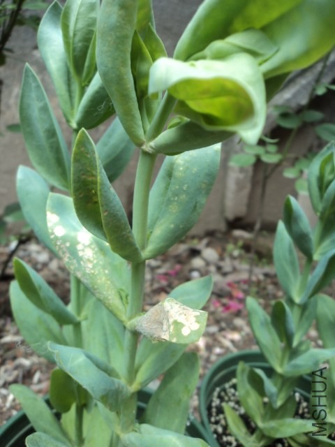 DSC01373.JPG