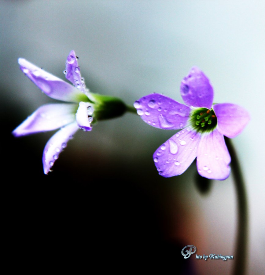 IMG_0144h.jpg