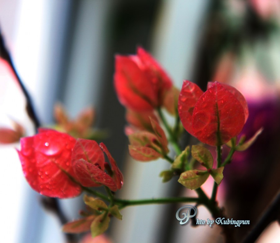 IMG_0147h.jpg