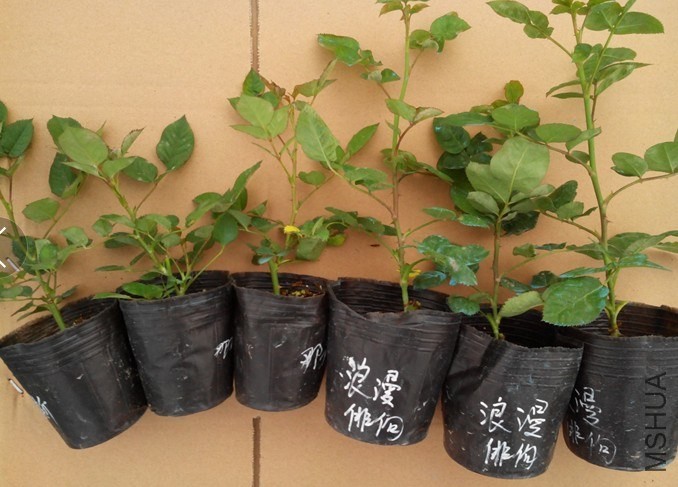 QQ��ͼ20140515213621.jpg