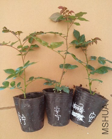 QQ��ͼ20140515213610.jpg
